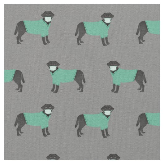 Black Labrador in schrobben grijs Stof (Close Up)