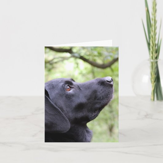 Black Labrador Kaart (Voorkant)