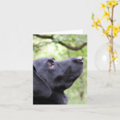 Black Labrador Kaart (Gele Bloem)