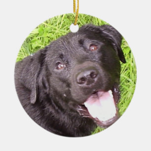 Black Labrador Keramisch Ornament