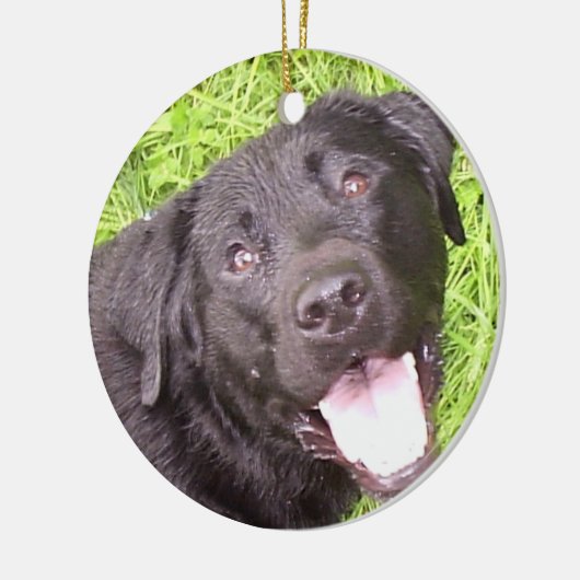 Black Labrador Keramisch Ornament (Links)