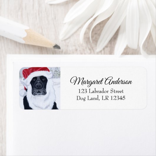 Black Labrador-kerstinloopadres Etiket (Insitu)