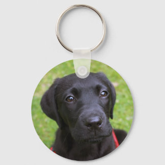 Black Labrador Key Ring Sleutelhanger