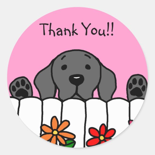 Black Labrador kijkt naar je Ronde Sticker (Voorkant)