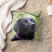 Black Labrador Kussen (Deken)