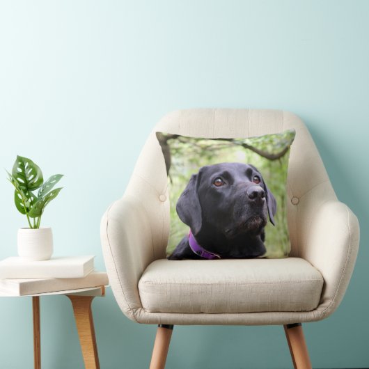 Black Labrador Kussen (Stoel)