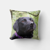 Black Labrador Kussen (Voorkant)