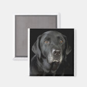 Black Labrador Magneet (Voorkant / Achterkant)
