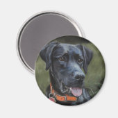Black Labrador magnet (Voorkant / Achterkant)