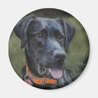 Black Labrador magnet