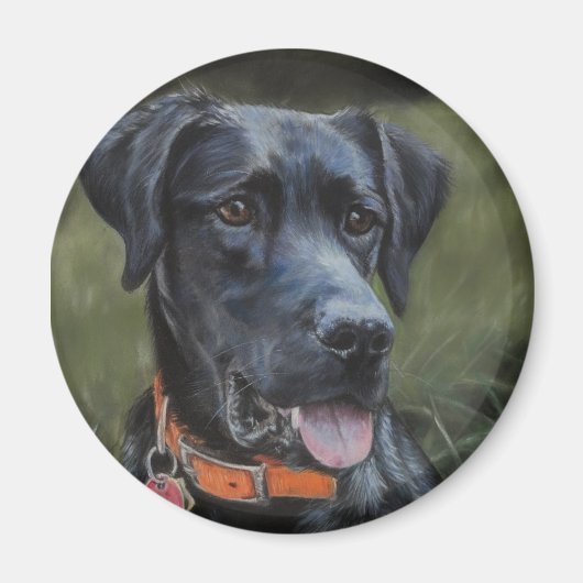Black Labrador magnet (Voorkant)