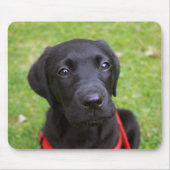 Black Labrador Mouse Mat Muismat (Voorkant)