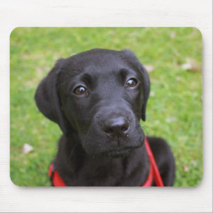 Black Labrador Mouse Mat Muismat