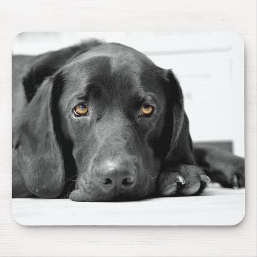 Black Labrador Muismat (Voorkant)