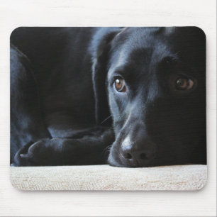 Black Labrador Muismat