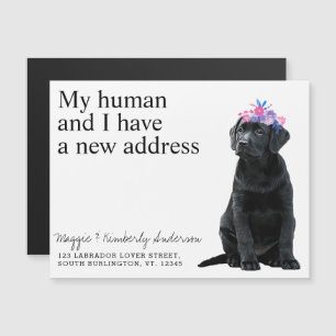 Black Labrador New Address Dog Moving Announance