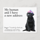 Black Labrador New Address Dog Moving Announance Briefkaart (Voorkant)