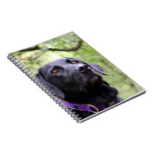 Black Labrador Notitieboek (Rechterzijde)