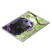 Black Labrador Notitieboek (Linkerzijde)