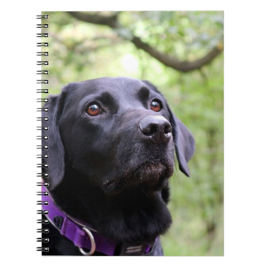 Black Labrador Notitieboek (Voorkant)