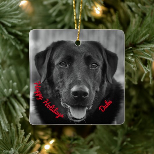 Black Labrador Photo Pet Dog Ceramic Ornament (Boom)