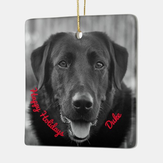 Black Labrador Photo Pet Dog Ceramic Ornament (Links)