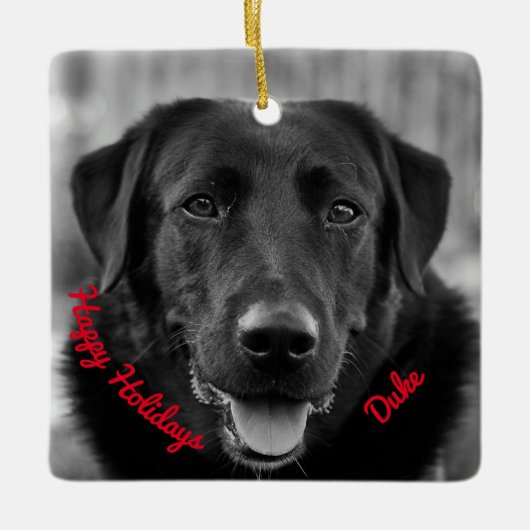 Black Labrador Photo Pet Dog Ceramic Ornament (Voorkant)