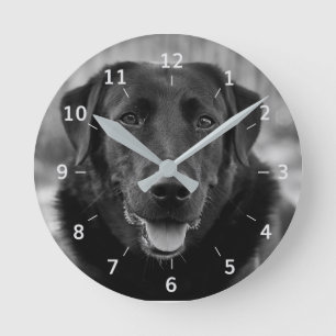 Black Labrador Photo Pet Dog Square Wall klok
