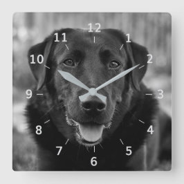 Black Labrador Photo Pet Dog Square Wall klok
