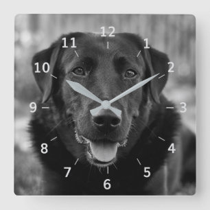 Black Labrador Photo Pet Dog Square Wall klok