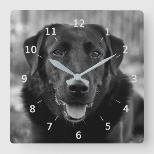 Black Labrador Photo Pet Dog Square Wall klok (Voorkant)