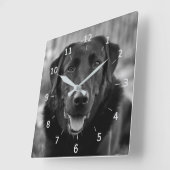 Black Labrador Photo Pet Dog Square Wall klok (Hoek)