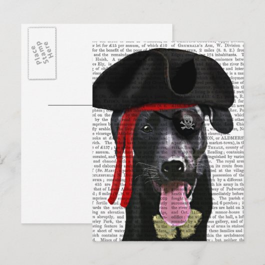 Black Labrador Pirate Briefkaart (Voorkant / Achterkant)