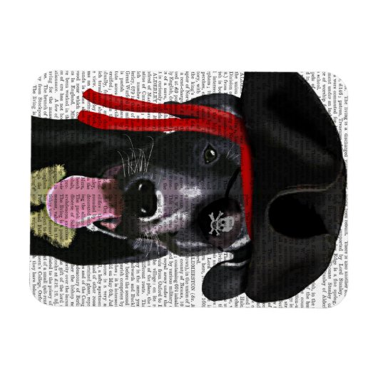 Black Labrador Pirate Magneet (Horizontaal)