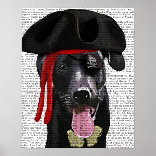 Black Labrador Pirate Poster (Voorkant)