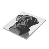 Black Labrador Portrait  Tegeltje (Zijkant)