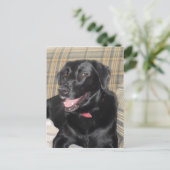Black Labrador-postkaart Briefkaart (Staand voorkant)