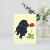 Black Labrador Puppy Briefkaart (Staand voorkant)
