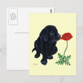 Black Labrador Puppy Briefkaart (Voorkant / Achterkant)