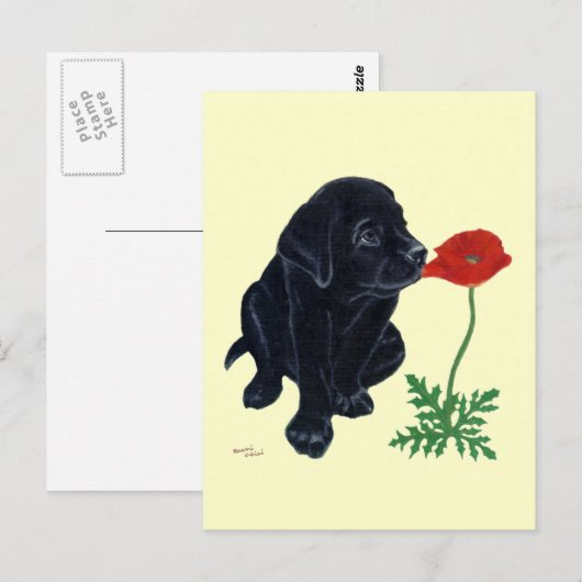 Black Labrador Puppy Briefkaart (Voorkant / Achterkant)