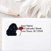 Black Labrador Puppy en Poppy Etiket (Insitu)
