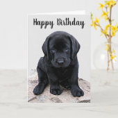 Black Labrador Puppy - Happy Birthday Kaart (Gele Bloem)