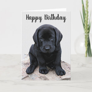 Black Labrador Puppy - Happy Birthday Kaart