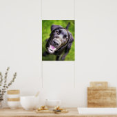 Black labrador puppy looking upwards, close-up poster (Keuken)