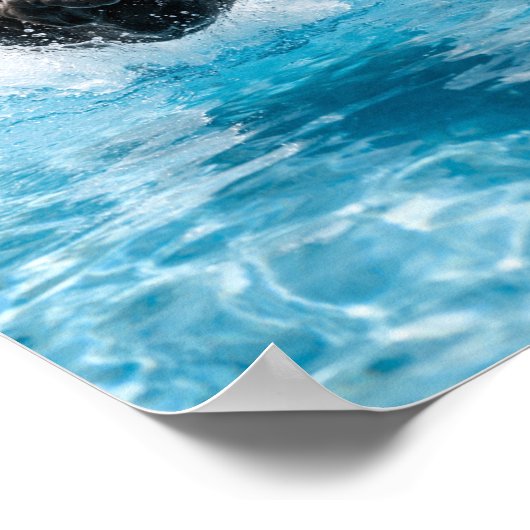 black Labrador Puppy Plunge Poster (Hoek)