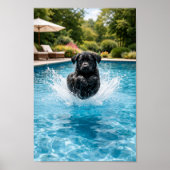 black Labrador Puppy Plunge Poster (Voorkant)