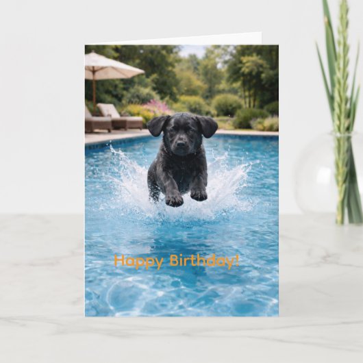 Black Labrador Puppy Pool Plunge | Cute Summer  Kaart (Voorkant)