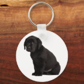 Black Labrador Puppy Sleutelhanger (Voorkant)