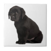 Black Labrador Puppy Tegeltje (Voorkant)