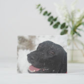 Black Labrador Retreiver Profile in Winter Postca Briefkaart (Staand voorkant)